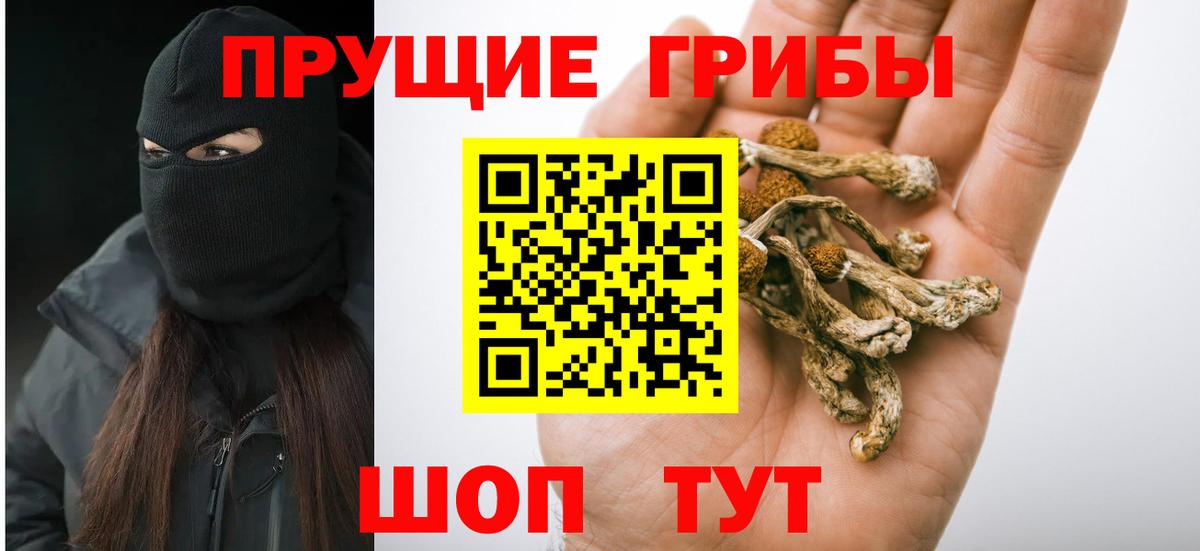 Псилоцибиновые грибы Psilocybe Набережные Челны