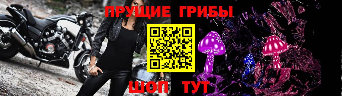 Псилоцибиновые грибы Psilocybe  Вход с VPN  Набережные Челны 