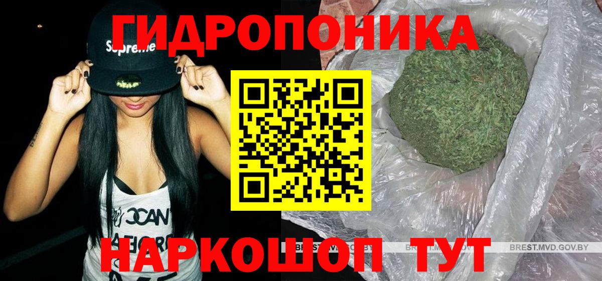 Бошки Шишки план Набережные Челны